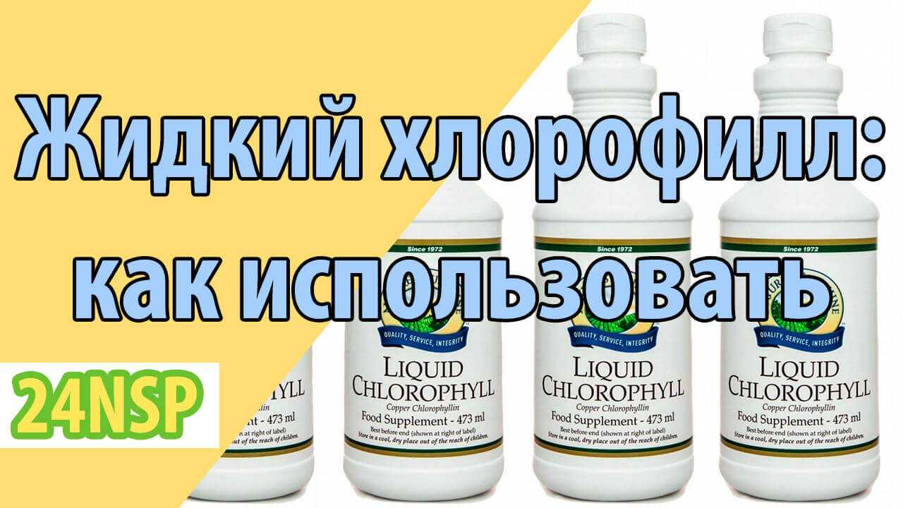 Хлорофилл: полезные свойства о которых мало кто знает, или научные исследования в лечении онкологии и очищении организма от канцерогенов (токсинов)