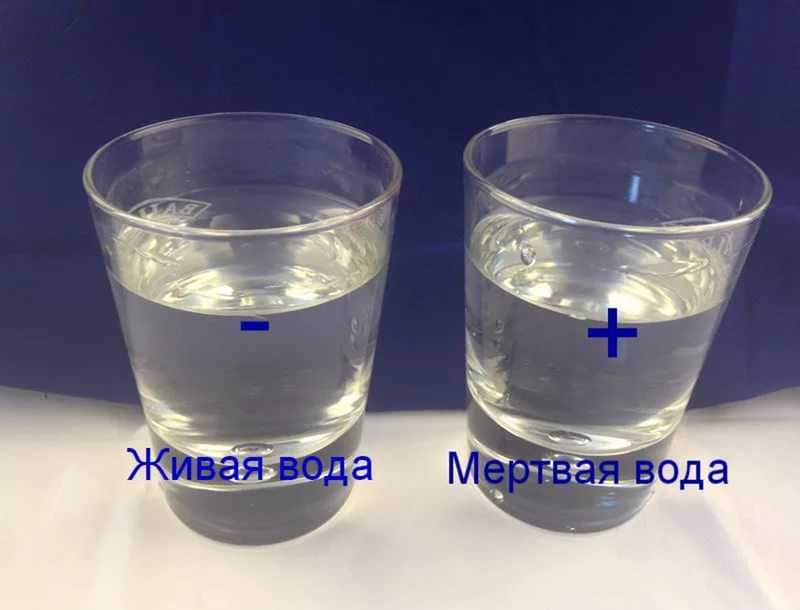 Живая вода: что пить, чтобы не стареть и не болеть