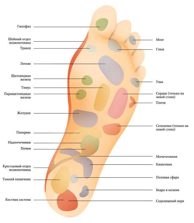 Акупунктурные точки , на руке, ноге, на лице, на ухе, массаж точек при различных заболеваниях.. акупунктурные точки. руководство по расположению акупунктурных меридианов на руках, ногах, лице и ушах.