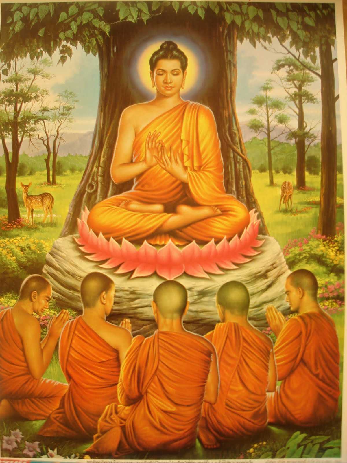 Проповедь будды. Сиддхартха Гаутама Шакьямуни. Сиддхартха Гаутама Будда. Будда принц Сиддхартха Гаутама. Будда Гаутама и Будда Шакьямуни.
