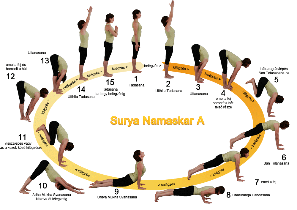 Приветствуя солнце. Комплекс Сурья Намаскар Приветствие солнцу. Комплекс асан Сурья Намаскар. Сурья Намаскар Шивананда йога Приветствие солнцу. Сурья Намаскар комплекс упражнений.