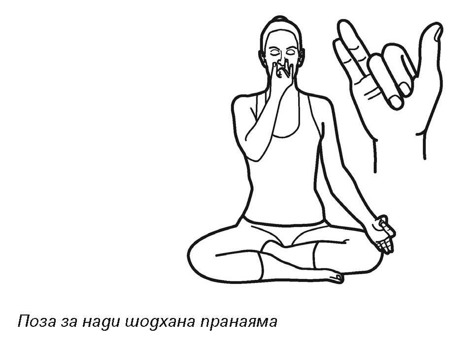 Дыхание хатха-йога для начинающих. статья.