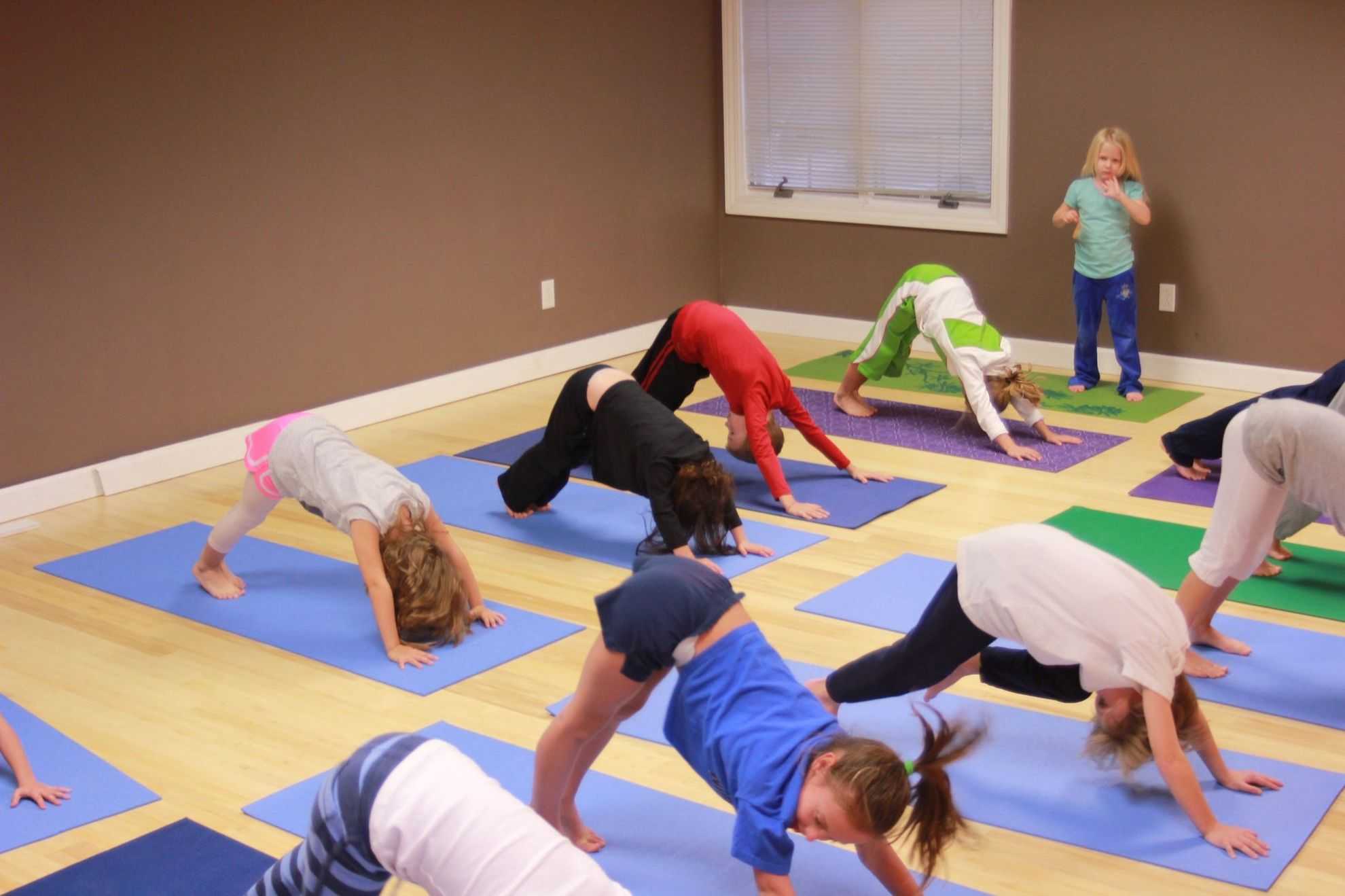 Обучение на преподавателя йоги для детей, преподавателя детской йоги | федерация йоги россии