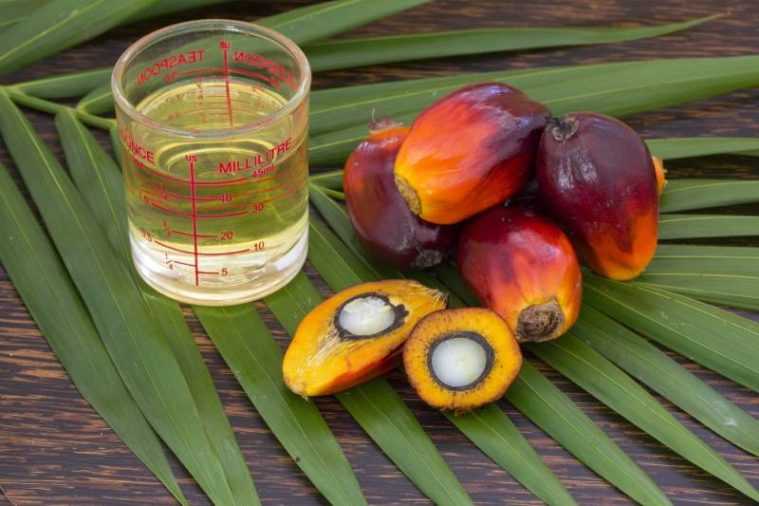 На стороне зла. пальмовое масло может делать рак более агрессивным?