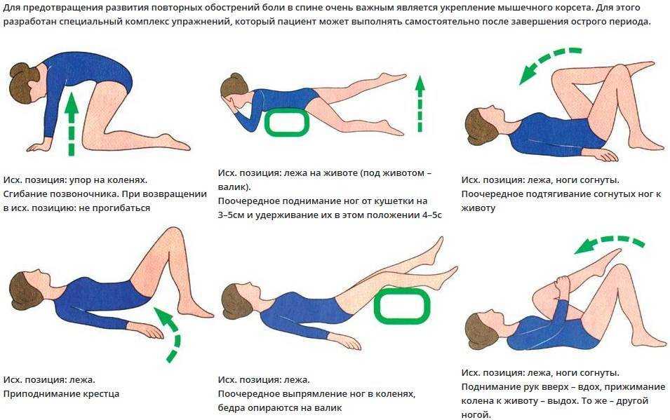 Топ-20 упражнений для гибкости спины: для начинающих и для продвинутых