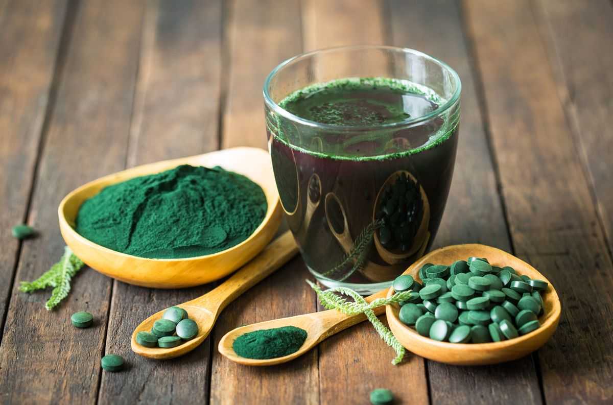 Spirulina SP. – Спирулина