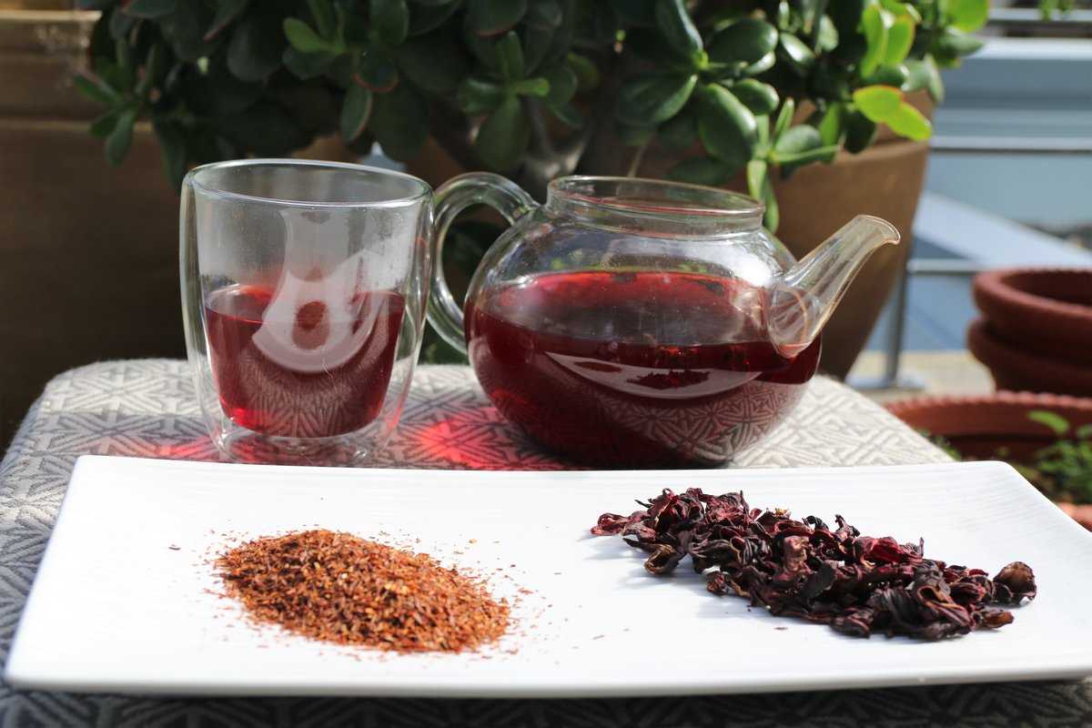 Чай каркаде: польза и вред. как заваривать и пить правильно - сила здоровья