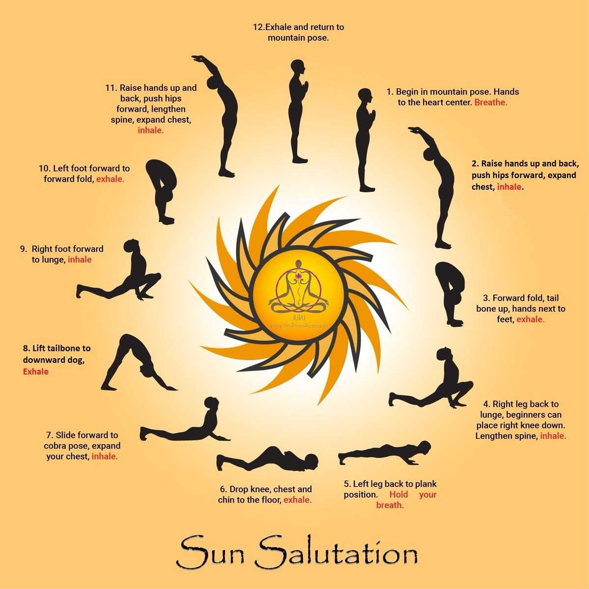 Приветствуя солнце. Сурья Намаскар Шивананда йога. Сурья Намаскар бихарская школа. Поклон солнцу йога Сурья Намаскар. Сурья Намаскар йога Айенгара.