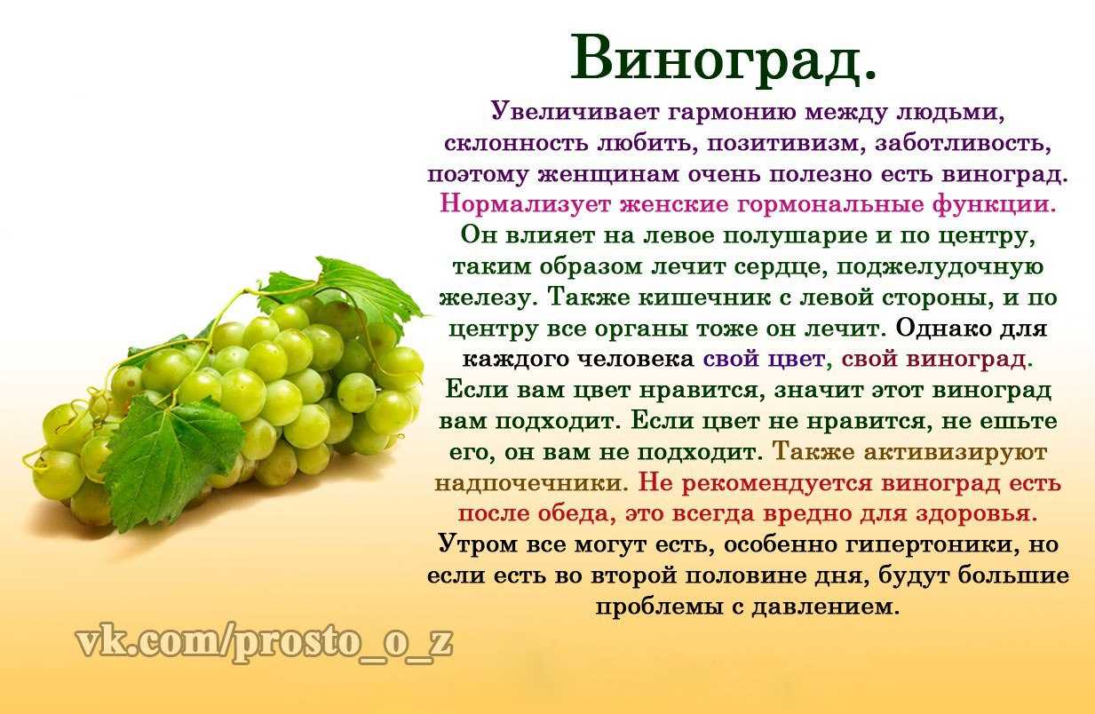 Виноград — полезные свойства и применение