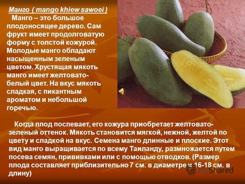 Манго фрукт полезные свойства и противопоказания. Чем полезен манго. Чем полезен фрукт манго. Чем полезно манго для организма. Чем полезен манг.