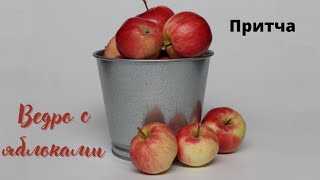 У всех на слуху: 30 известных каждому фраз, о происхождении которых знают лишь единицы