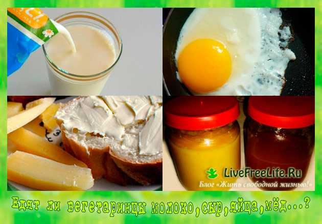 Вегетарианец есть яйца. Вегетарианство яйца. Вегетарианство яйца молоко. Вегетарианство с яйцами и молочными продуктами. Вегетарианцы, которые едят яйца.