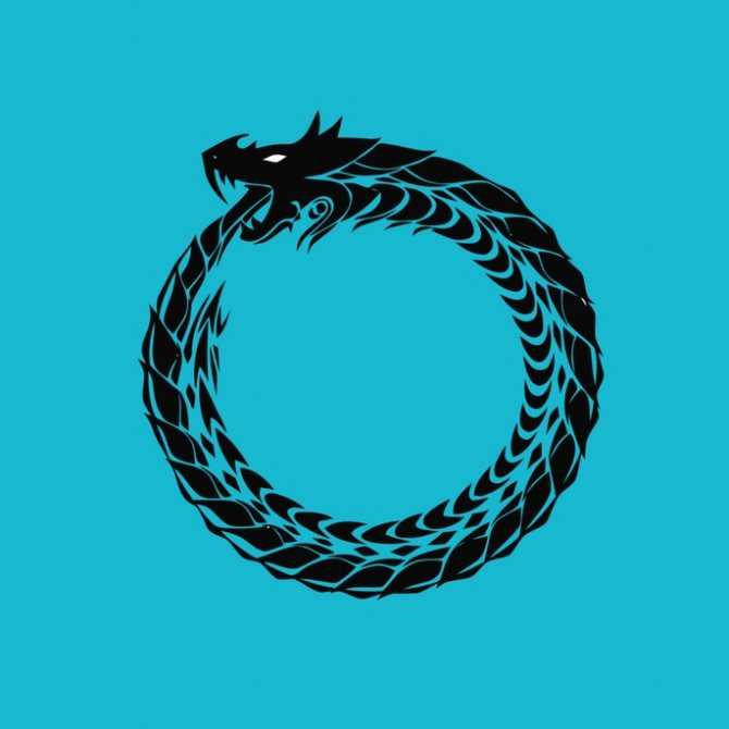 Шеша - shesha - abcdef.wiki