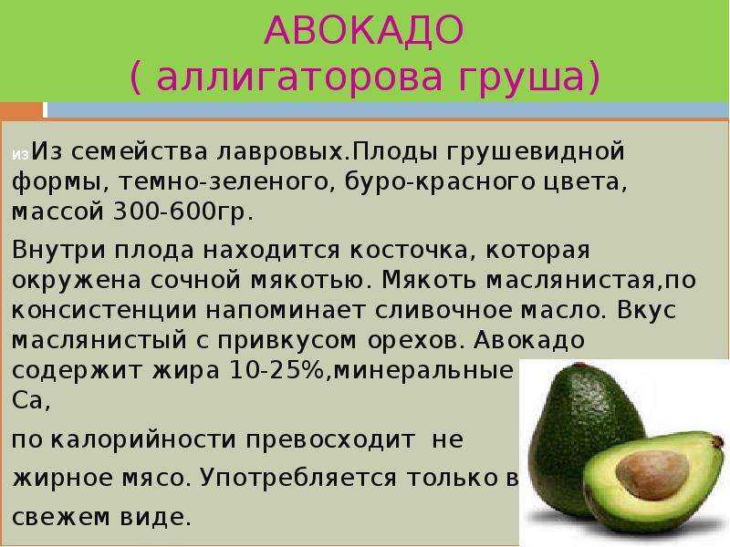 Польза авокадо – 11 доказанных лечебных свойств для организма человека, противопоказания и калорийность