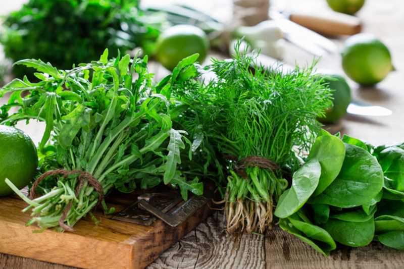 Зелень для салатов: виды, описание, выбор