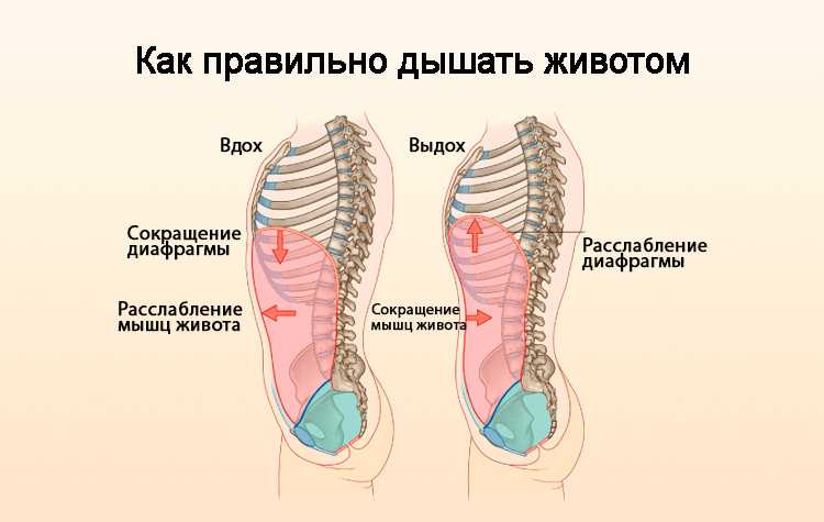 Нехватка воздуха, трудно дышать — что может вызвать данный симптом