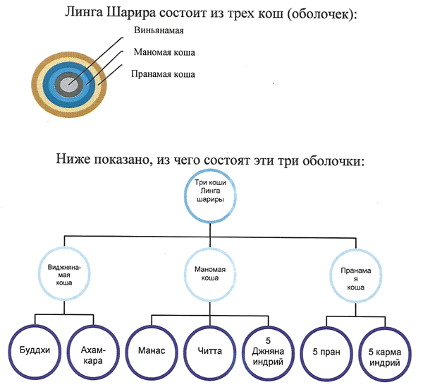 12 признаков того, что вы переходите на более высокий уровень сознания