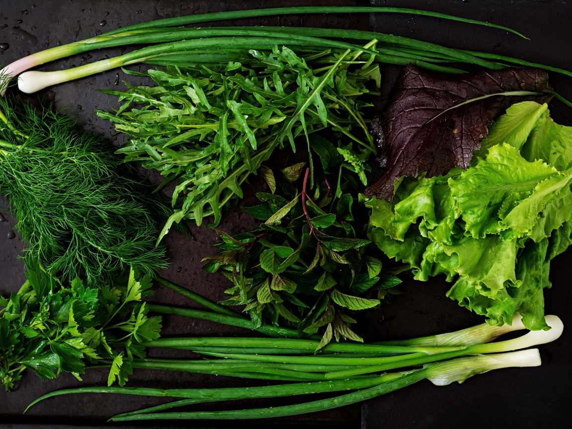 Зеленая кухня: какие растения можно съесть и как это лучше сделать