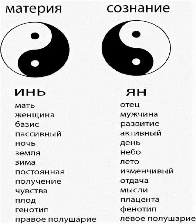 Что означает символ инь-ян? толкование природы инь, ян, влияние на культуру.