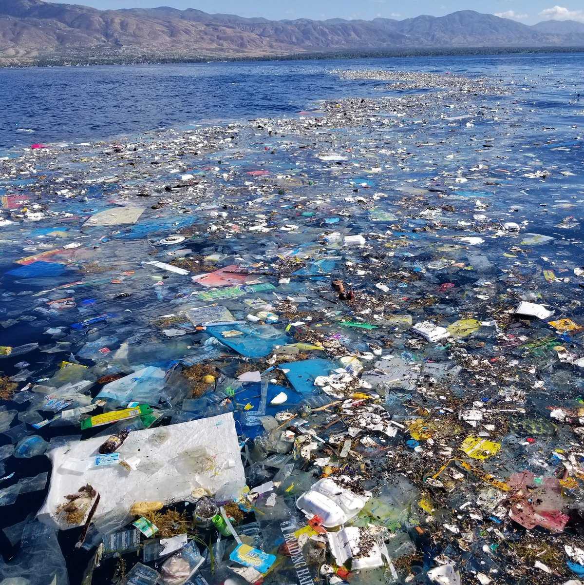 Остров из мусора в тихом океане фото из космоса