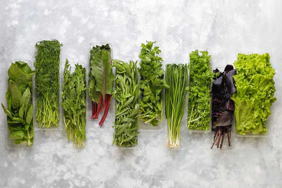 7 причин есть зелень каждый день | осознанное питание