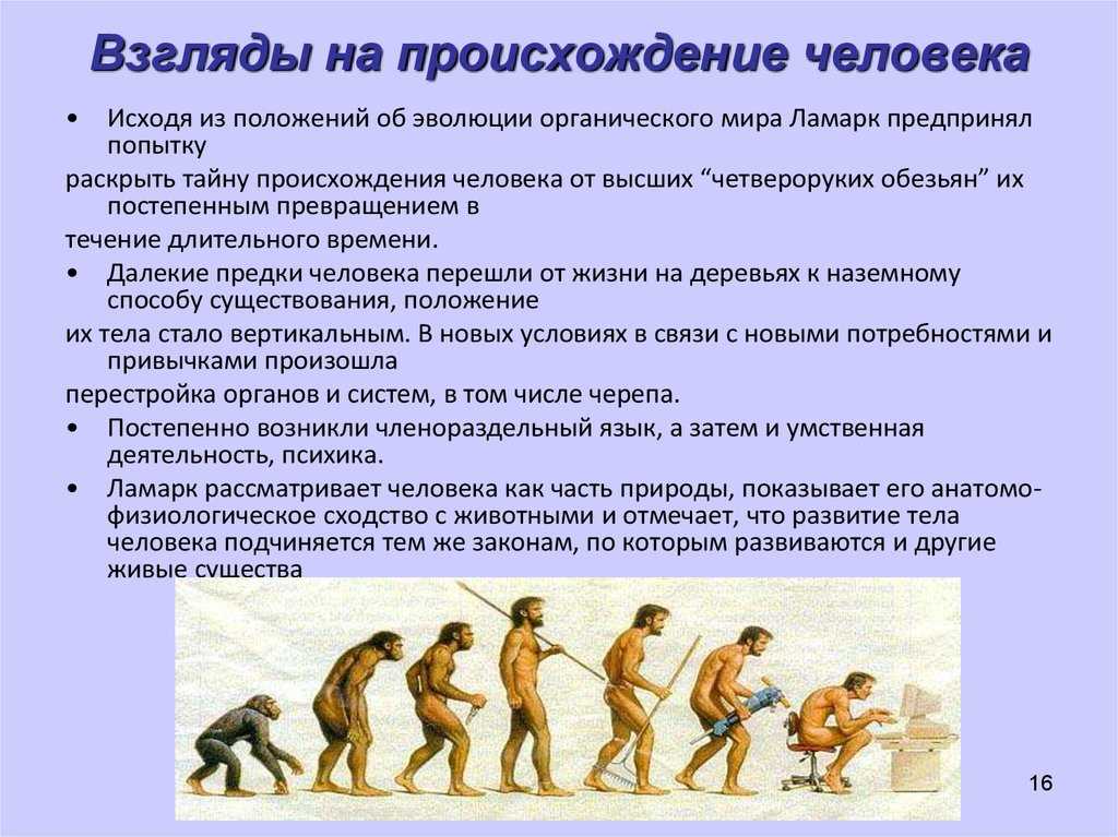 C точки зрения эволюции: наш мир — иллюзия - hi-news.ru