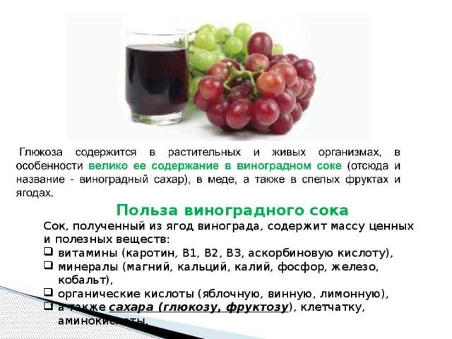 Польза винограда - портал обучения и саморазвития
