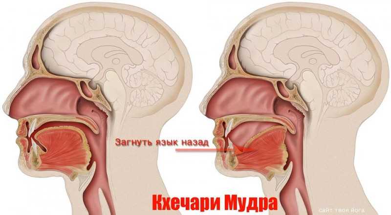 Дживамукти-йога