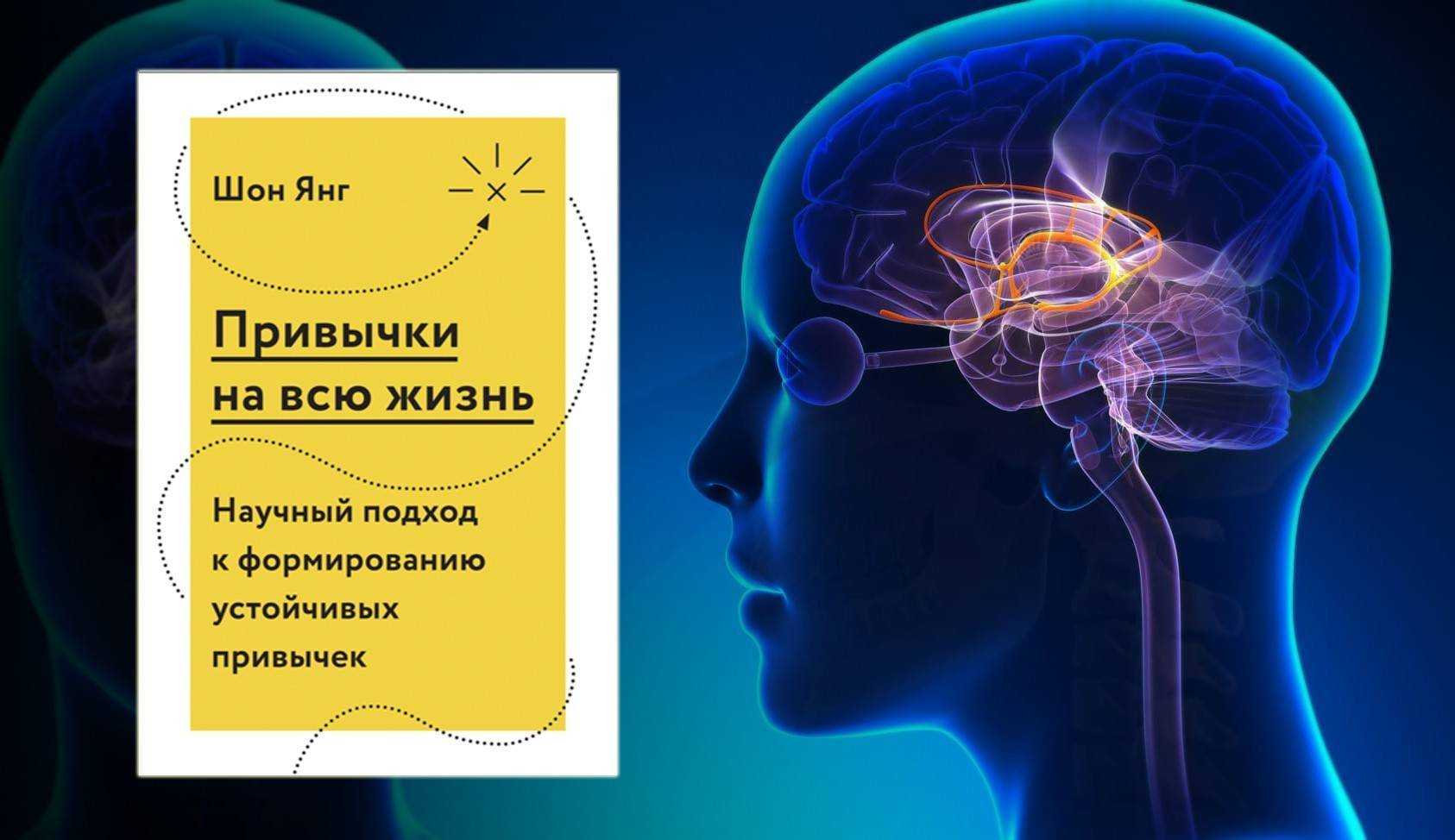 Исследование джона дилана хайнеса о формирование доминанты и принятии решения
