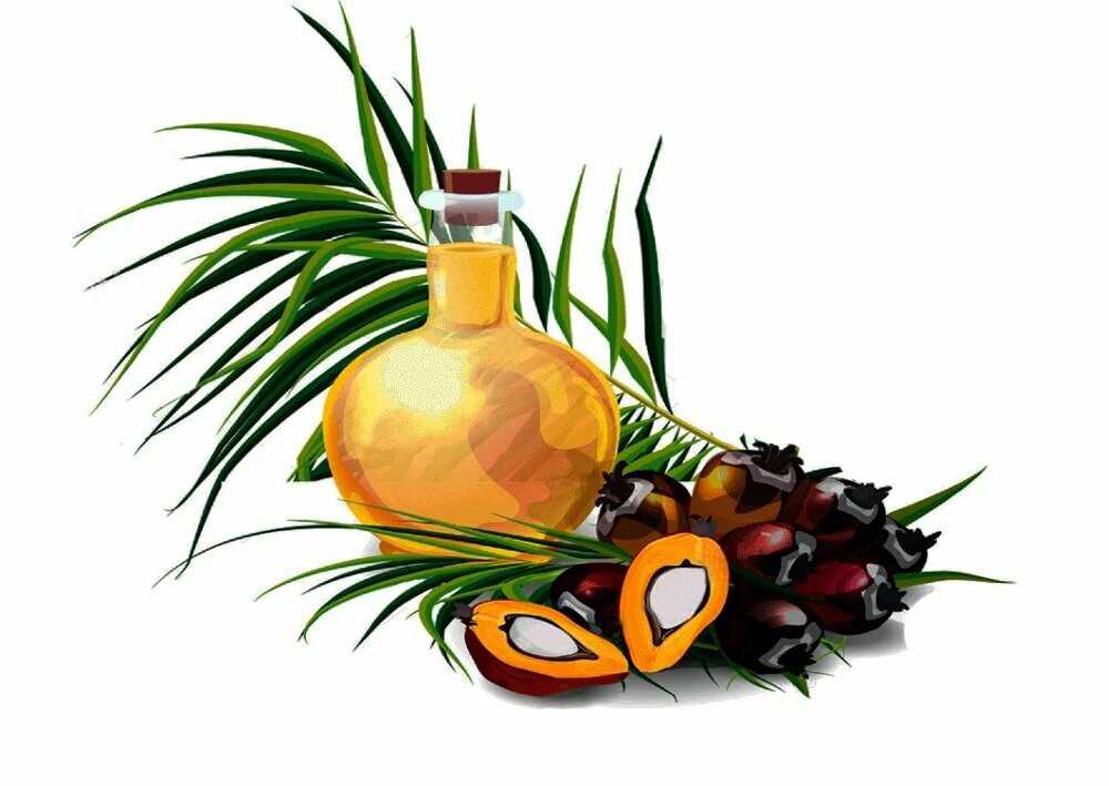 Пальмовое масло в детских смесях