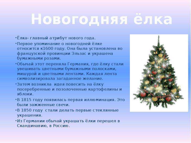 Новогодняя елка: история возникновения и интересные факты :: syl.ru