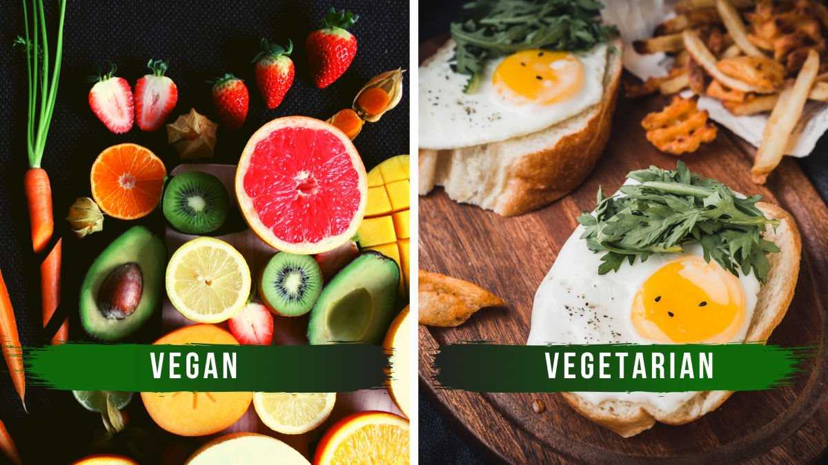 От вегетарианцев к солнцеедам