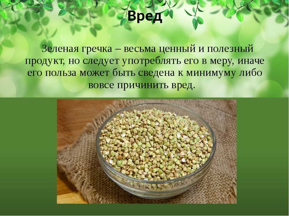 Что такое зеленая гречка / чем полезна и может ли навредить здоровью – статья из рубрики "польза или вред" на food.ru