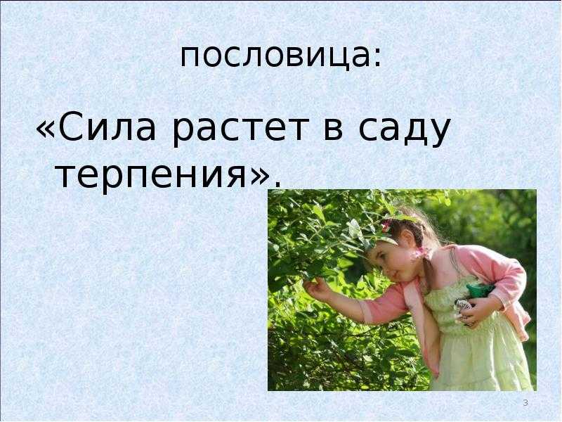 Пословицы и поговорки о речи, о слове, о языке