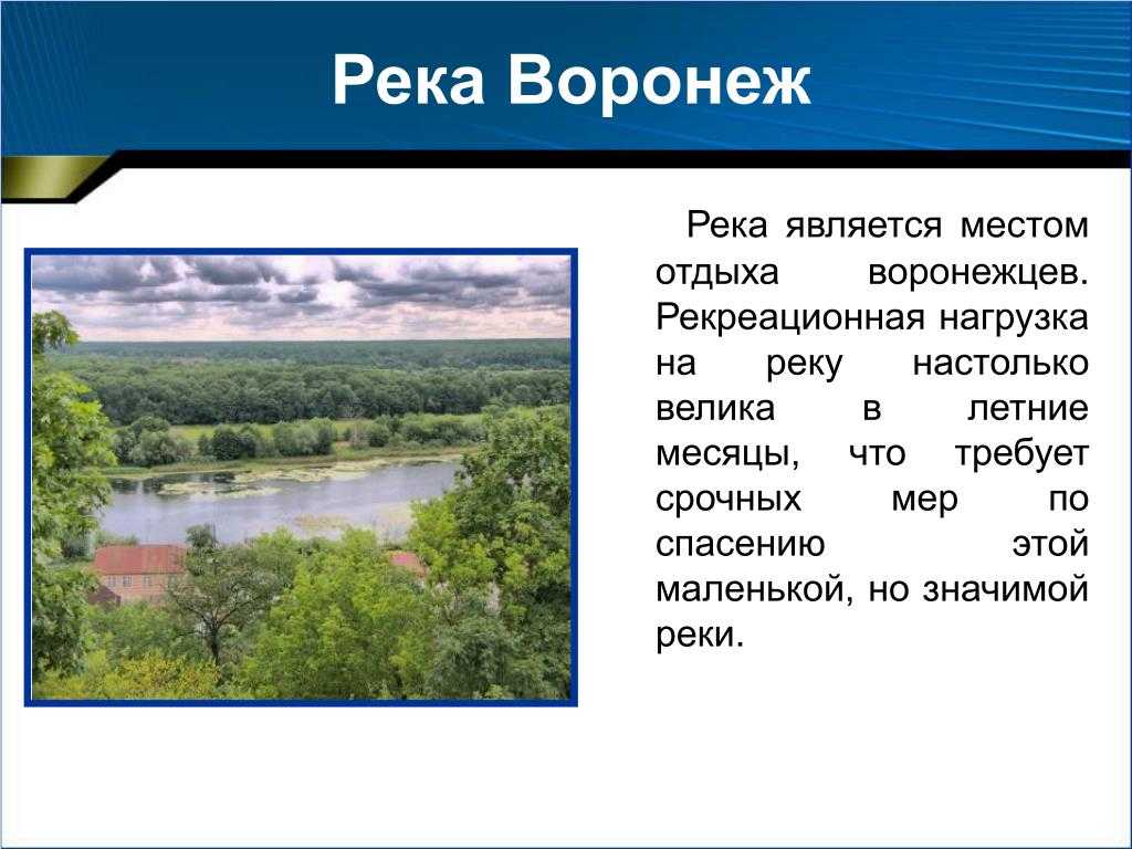 Воронеж сколько рек