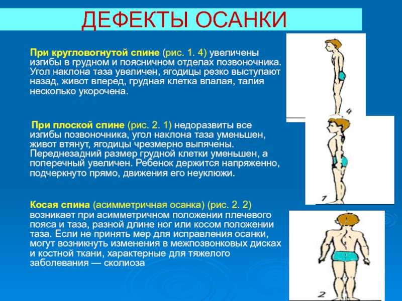 Снимаем напряжение со спины: сарпасана :: блог о йоге :: портал о йоге хануман.ру