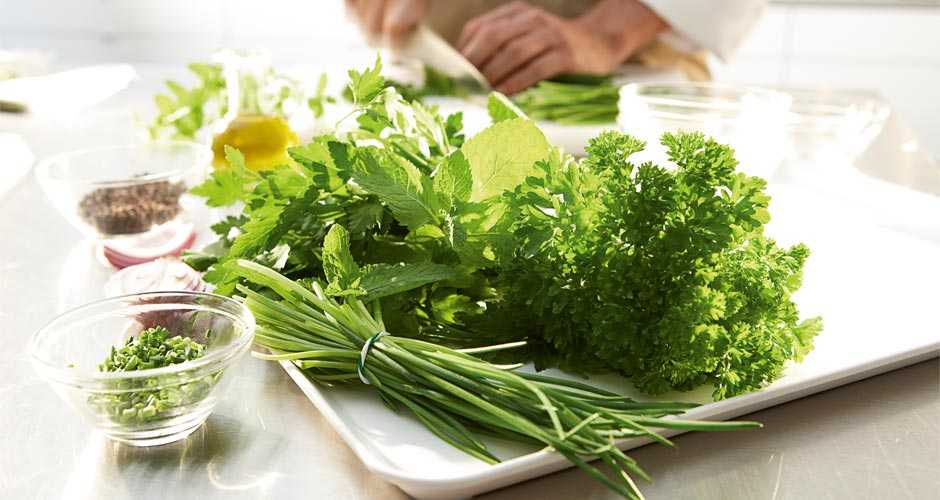 Польза микрозелени, какая самая полезная и вкусная