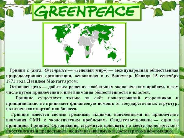 Гринпис страны. Гринпис. Гринпис Международная организация. Гринпис зеленый мир. Гринпис принципы деятельности.