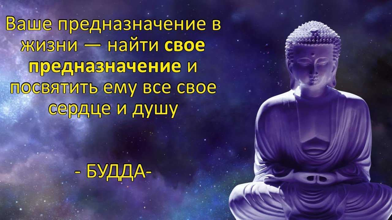 О природе сострадания и его месте в учении будды