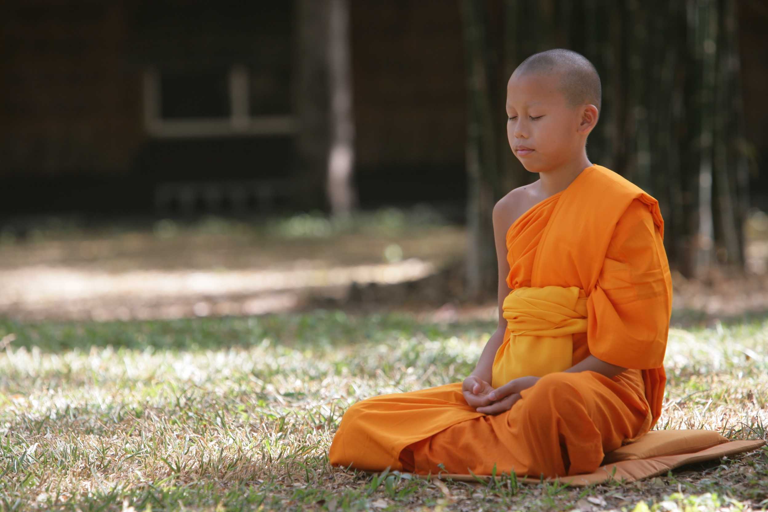Медитация присутствие. Тхеравада-хинаяна. Буддистский монах Тибет. Буддийский монах Тхеравада. Будда сенсей.