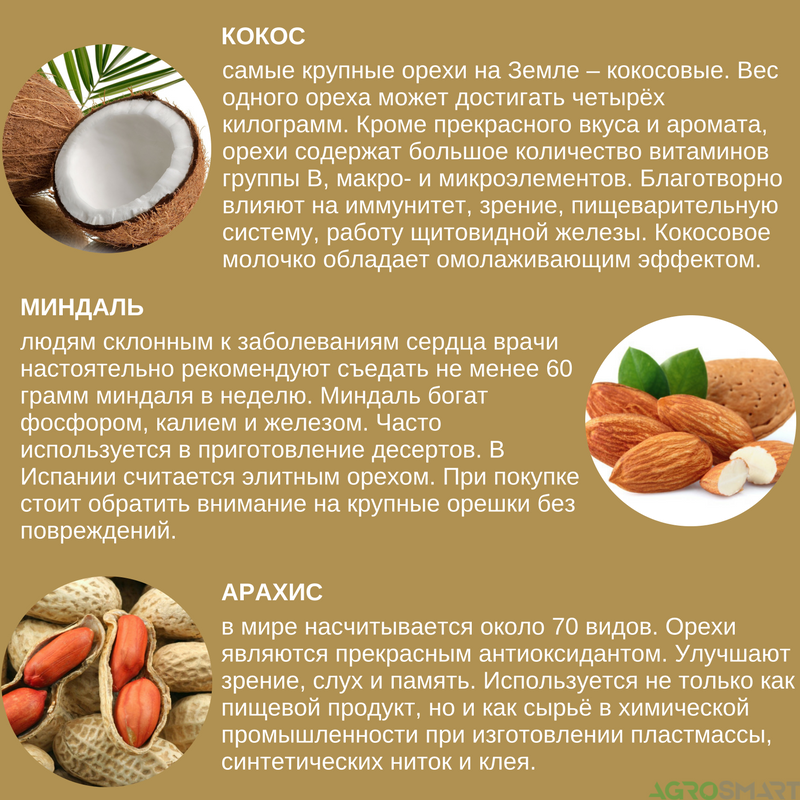 Орехи миндаль польза и вред для женщин. Чем полезен Кокос. Полезные вещества в миндале. Витамины в миндальных орехах. Витамины в кокосе.