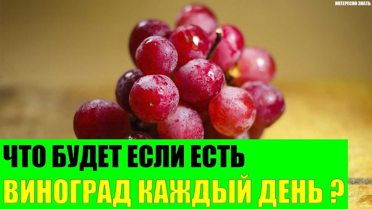 Вред винограда. Что будет если каждый день есть виноград. Можно ли есть виноград каждый день. Что будет если съесть виноград. Что будет если употреблять виноград каждый день.