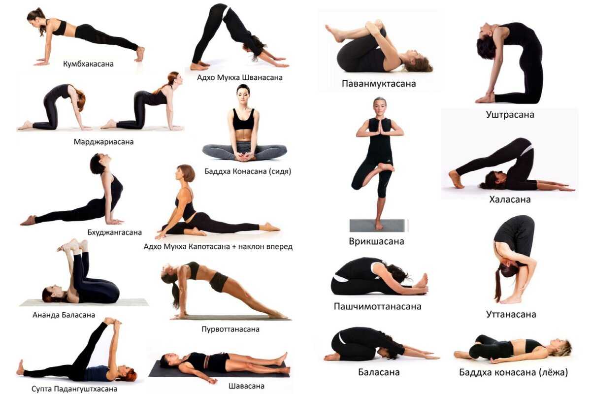 Асаны на баланс. польза, правила выполнения, способы упрощения и техника безопасности - psy yoga studio