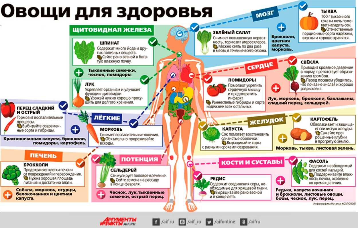 Полезные овощи для здоровья. Правильное питание инфографика. Полезности для здоровья. Инфографика здоровье.