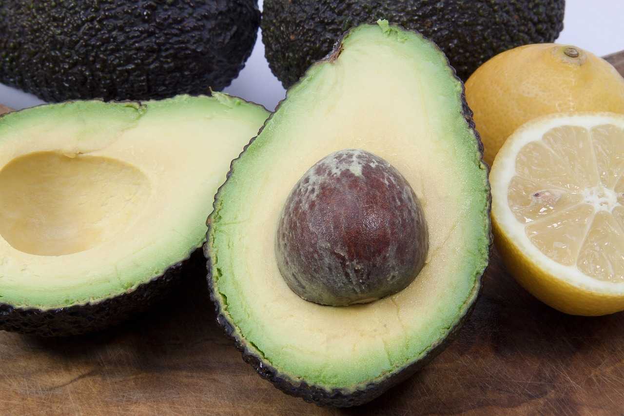 Польза и вред авокадо для здоровья – как его правильно есть