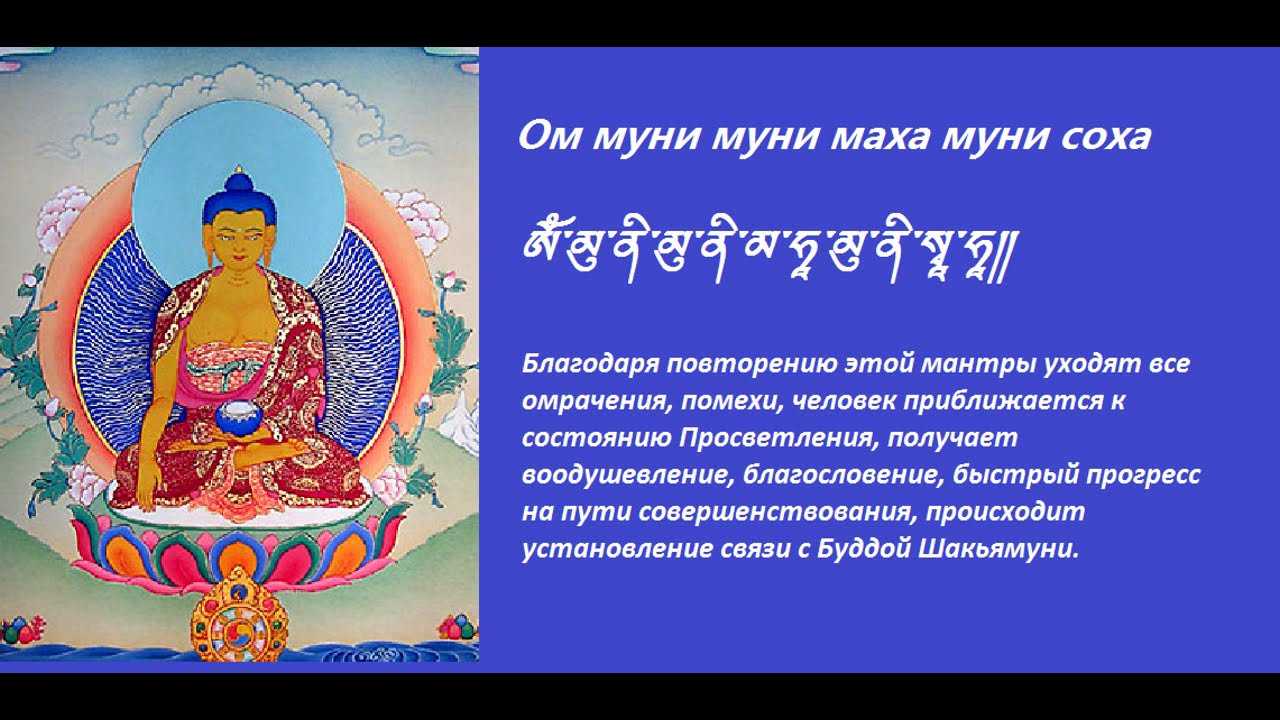 Мантра суругана. Мантра Будды Шакьямуни текст. Мантра Будды Шакьямуни на тибетском. Ом Муни Муни Маха МУНИЕ Шакьямуни Соха. Мантра Будды Шакьямуни на санскрите.
