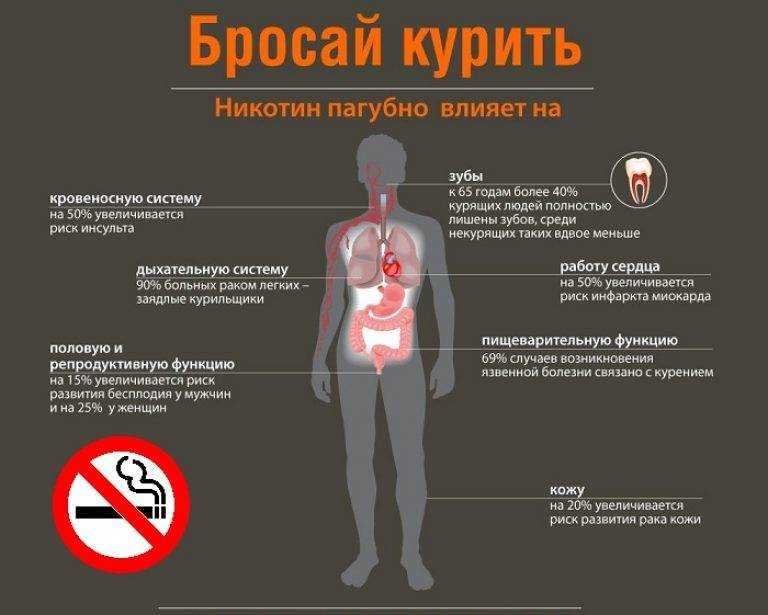 ✅вред курения | влияние табакокурения на организм, здоровье взрослого