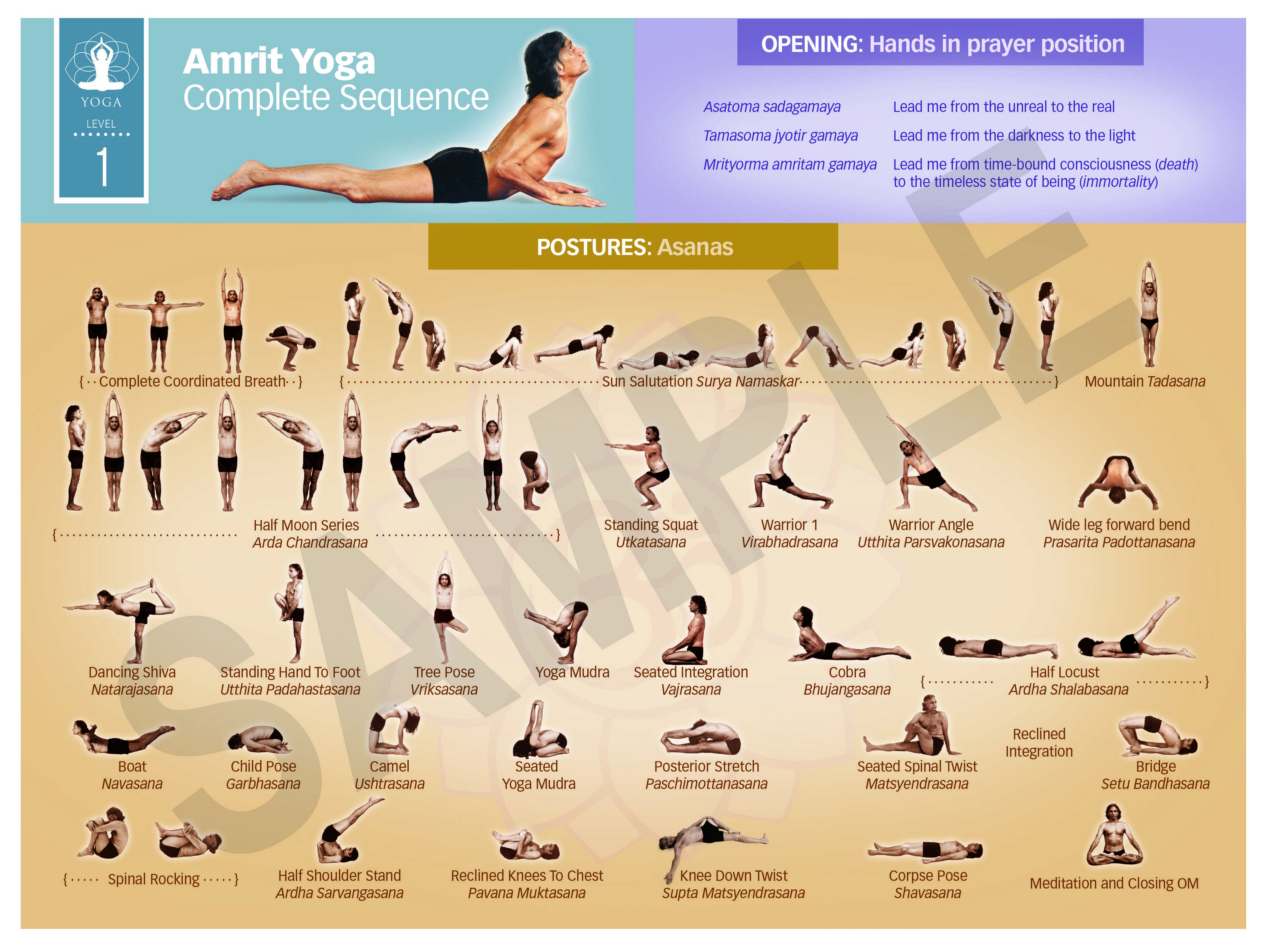 Асаны йоги с названиями. Упражнения хатха йоги для начинающих. Последовательность асан в хатха йоге. Базовые асаны йоги для начинающих. Хатха йога комплекс для начинающих.