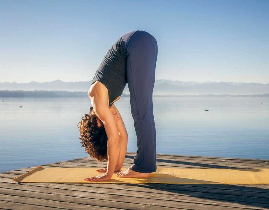 Истинный путь, смысл и суть йоги