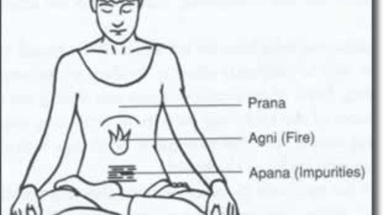 О гармонии праны и апаны: леонид ланин объясняет, почему аштанга-йога — это йога дыхания